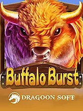 Buffalo Burst