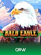 bald-eagle